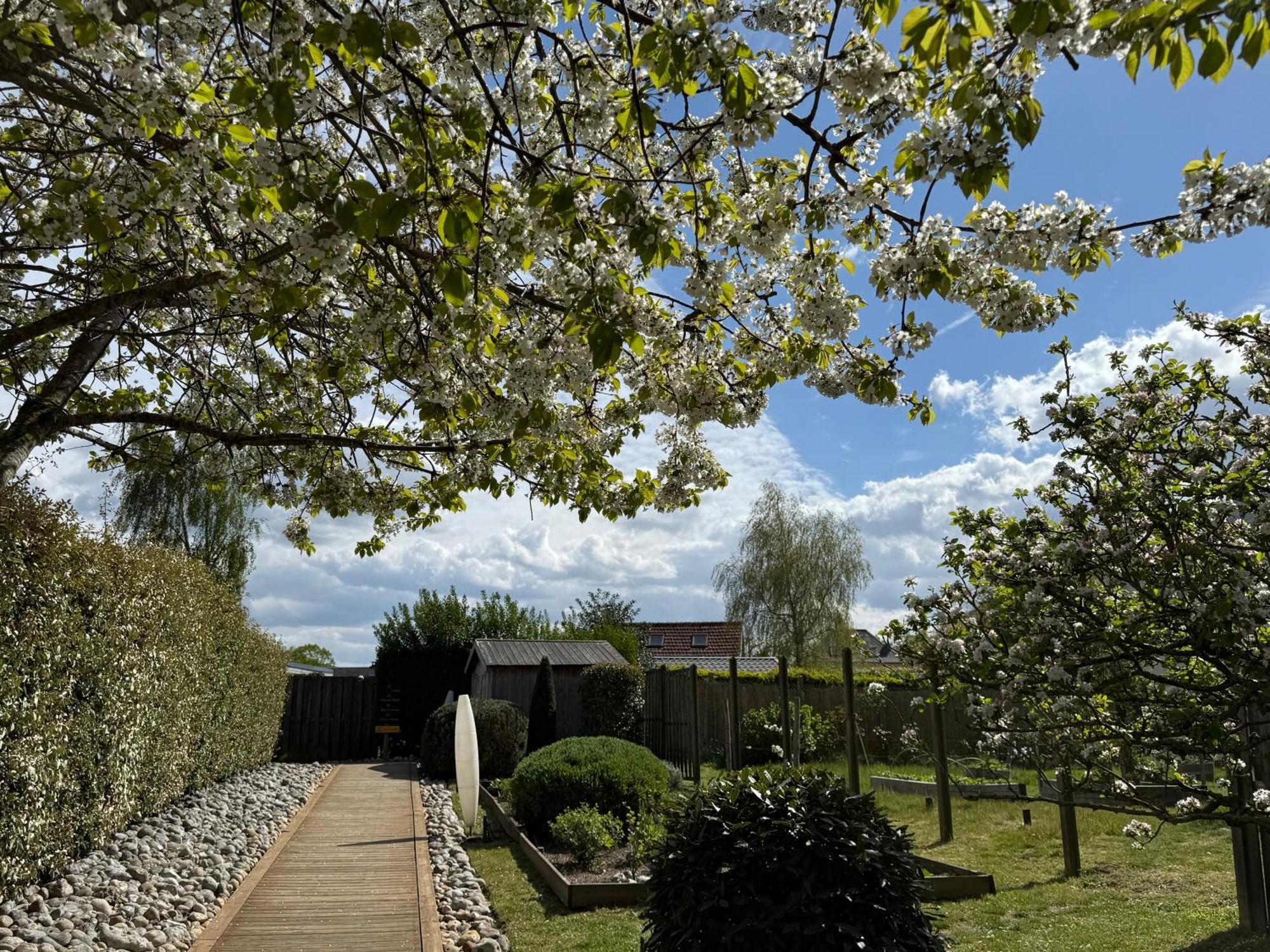 Hôtel - Spa Les Corderies Saint-Valéry-sur-Somme Buitenkant foto
